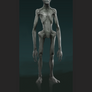 Grey Alien concept