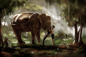 Elephant and the Boy Study