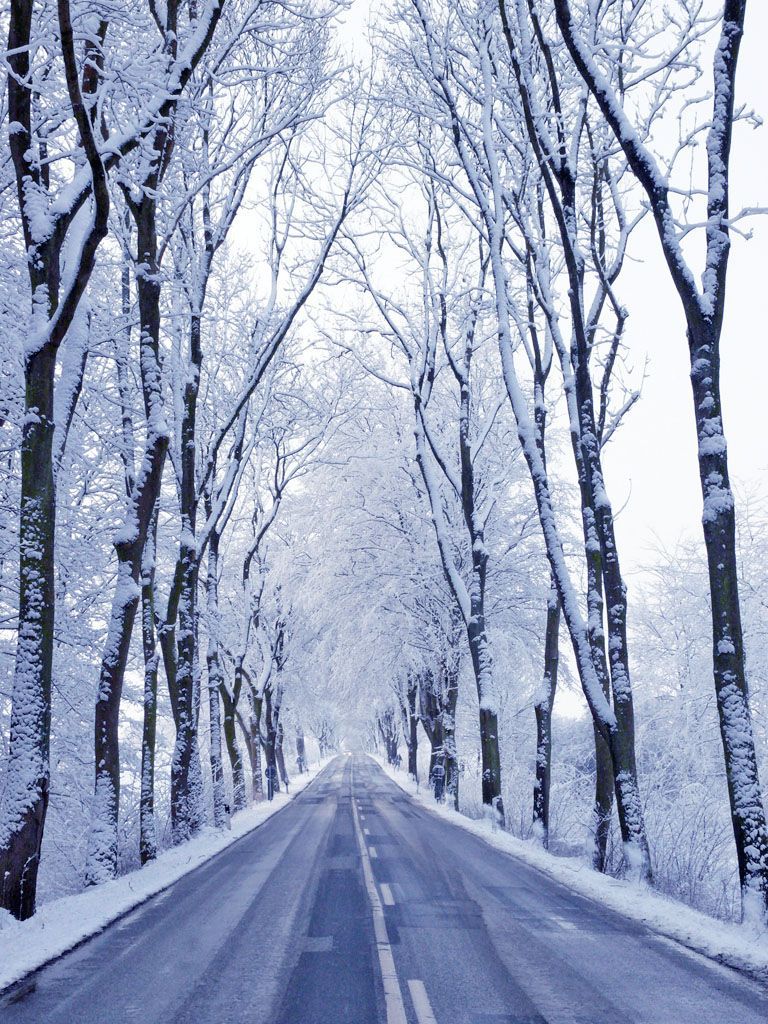 Winter road