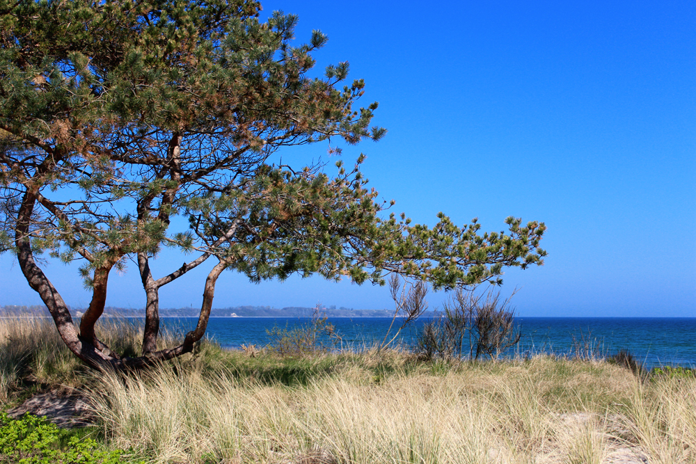 Spring on Baltic