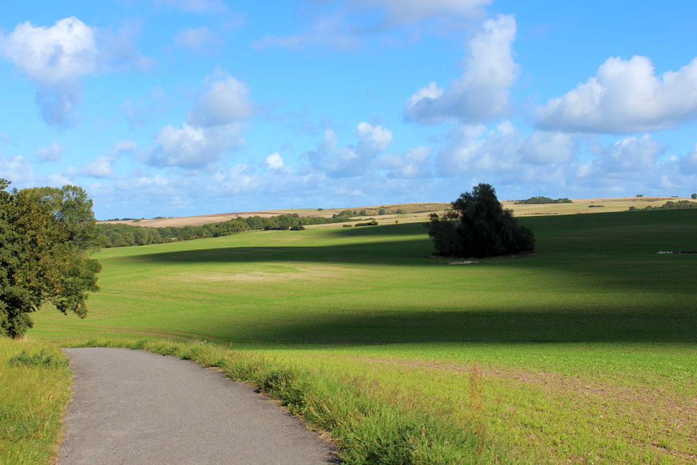 Autumn on the island of Ruegen