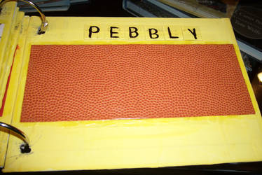 Autism Touch Book: Pebbly