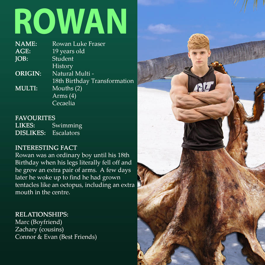 Intro - Rowan by nawoctre on DeviantArt