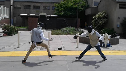 fencing 