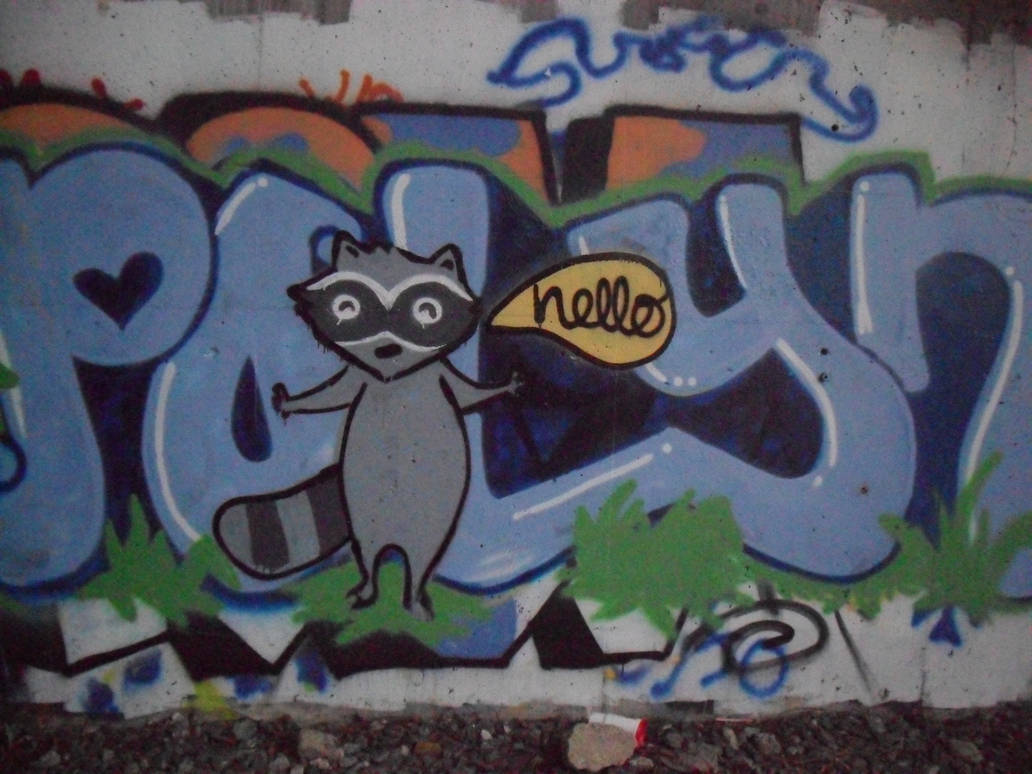 Graffiti Racoons Graffiti Raccoon by Vonreid on DeviantArt