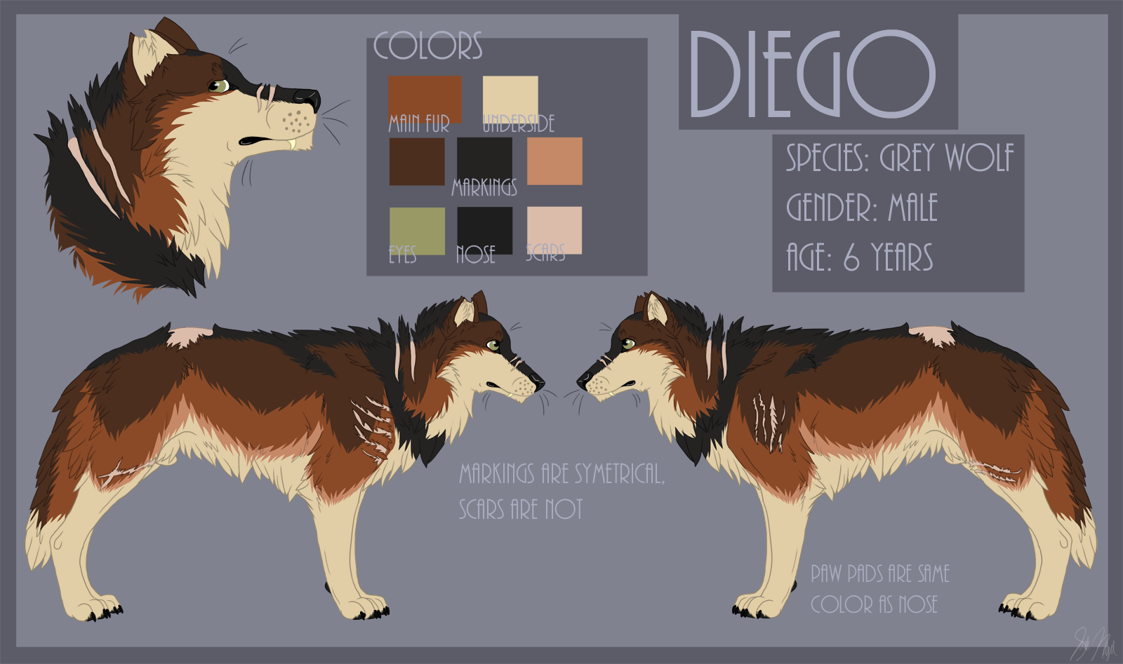 Diego Ref