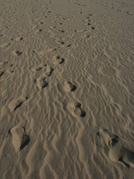 Footprint