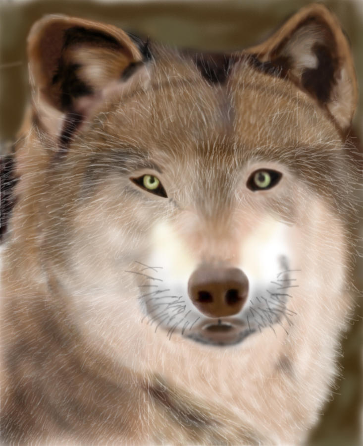 Wolf Airbrush by logik9 on DeviantArt