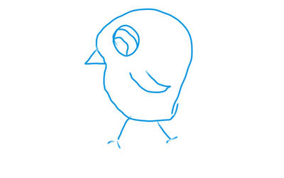 Sketch A Bird