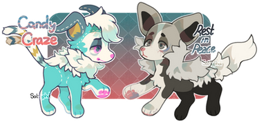 October Offer to Adopts