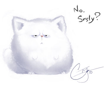 Fluff Cat is Displeased