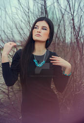 https://www.facebook.com/Ileana.Radulescu.Photogra