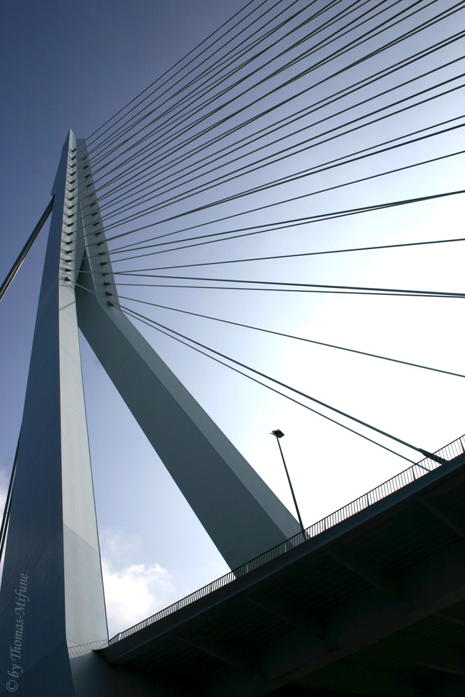 Erasmusbrug I colour