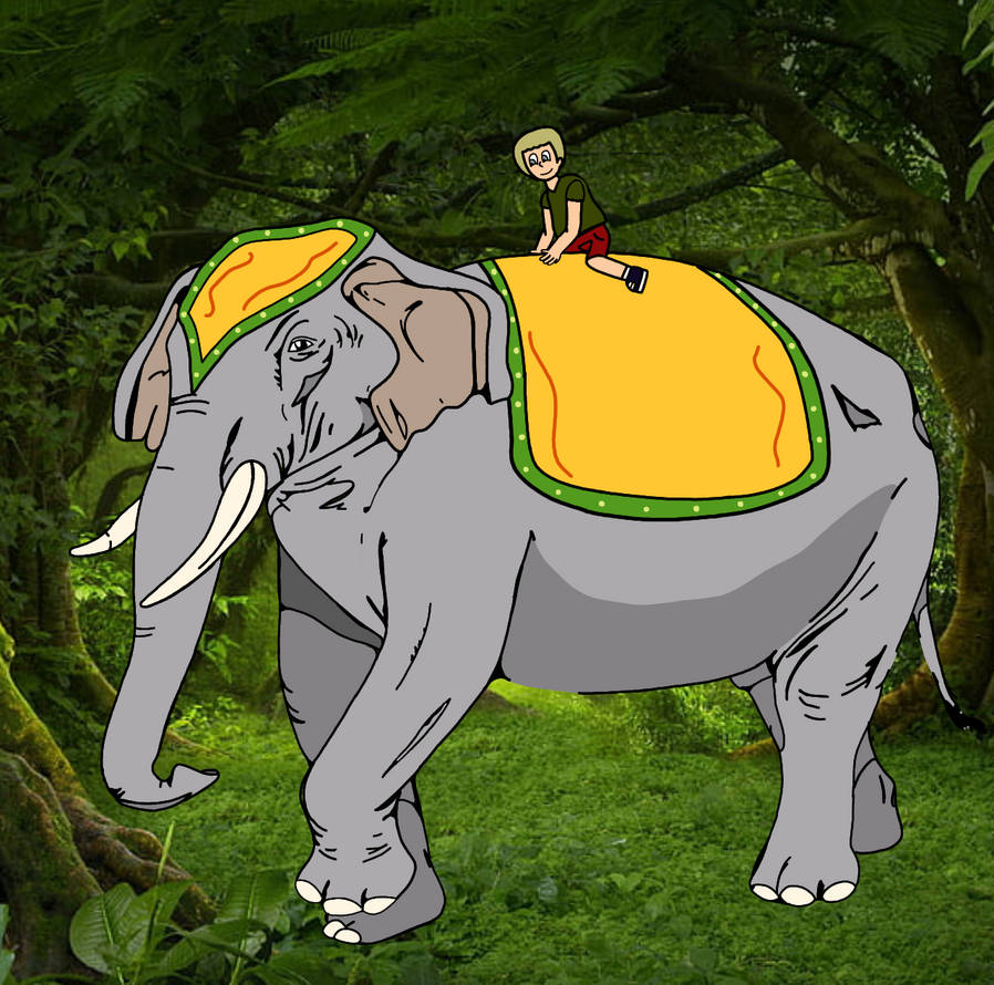 Elephant ride by ivanjakov122 on DeviantArt