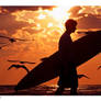Surfs Up