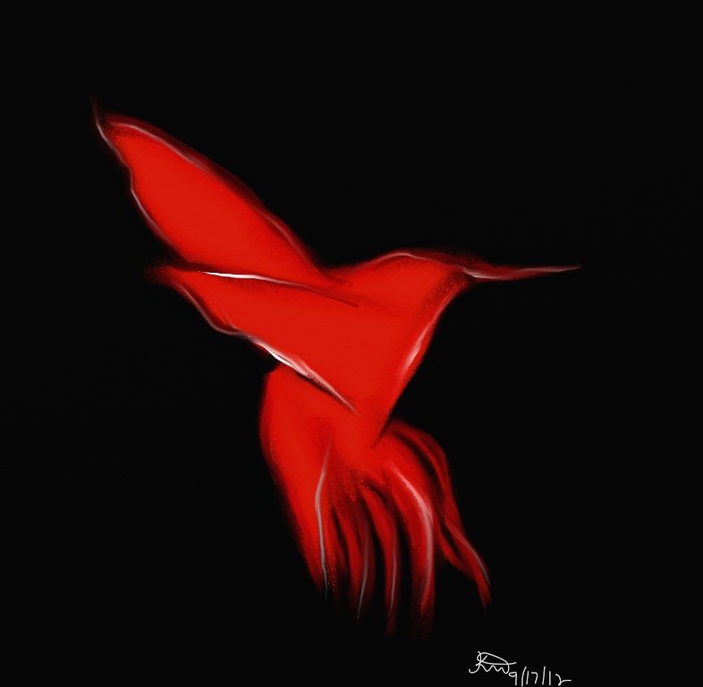 Humming Bird Of Fire