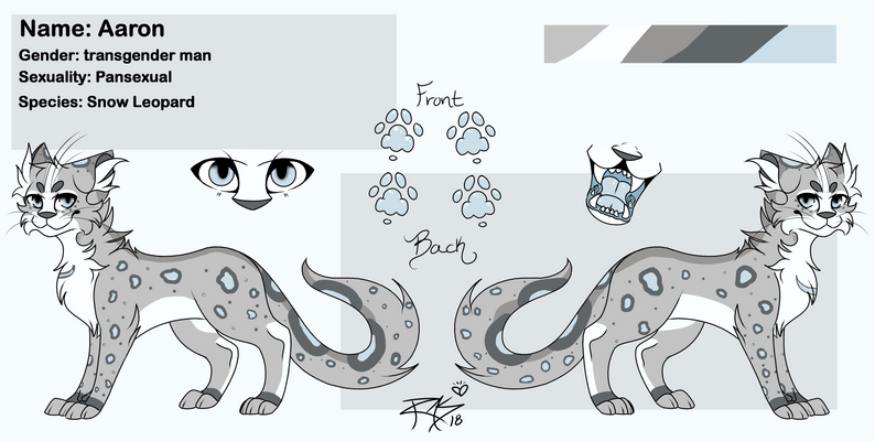 .:Free Cat Reference Sheet Base:. by xMoonRoex on DeviantArt