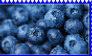 Blueberries Stamp