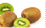 Kiwi Stamp