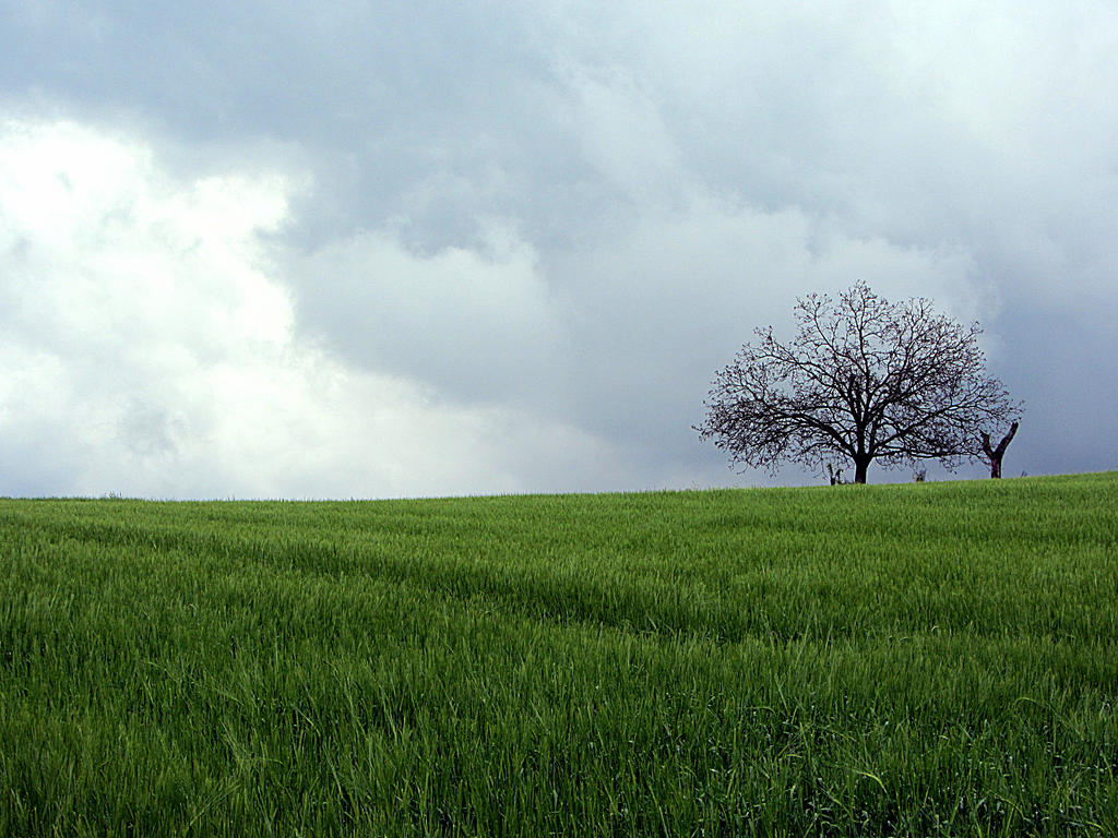 Wonderful rainy day