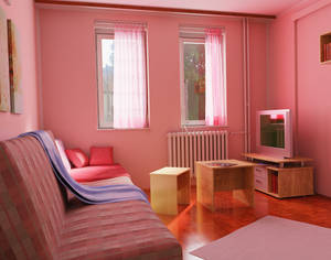 The study in pink