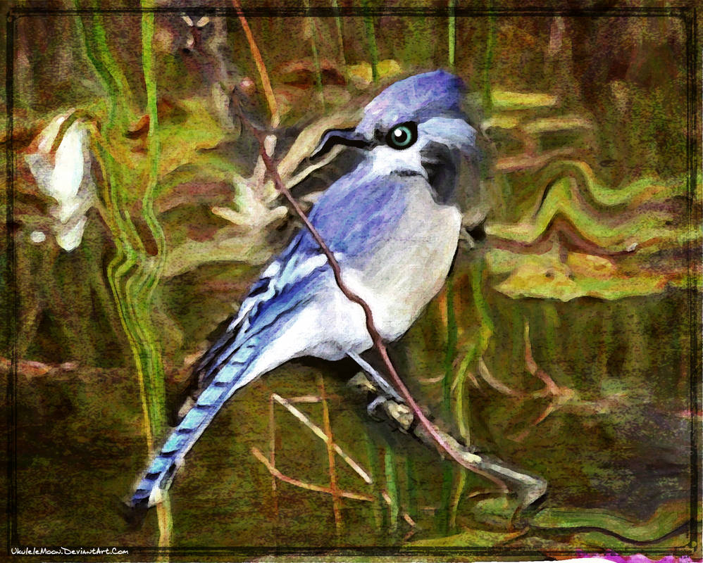 Digital Painting: The Ruckus by UkuleleMoon on DeviantArt