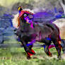 equine in abstract