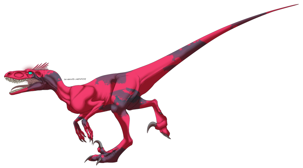 Feature to Adopt Raptor 2 TAKEN by UkuleleMoon on DeviantArt