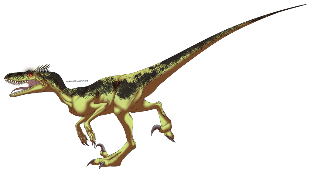 Feature to Adopt Raptor 5 CLOSED by UkuleleMoon on DeviantArt