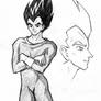 Non-Toriyama Vegeta