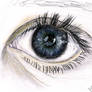 Eye Drawing Trial 5