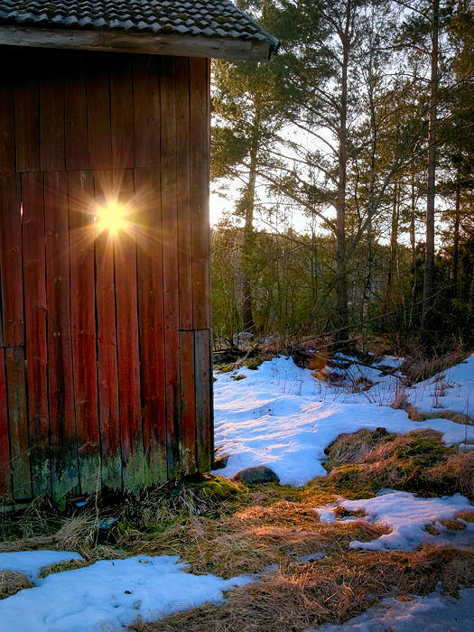 Early spring sun by eswendel on DeviantArt