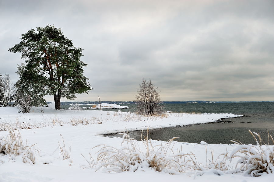 A beach view in December