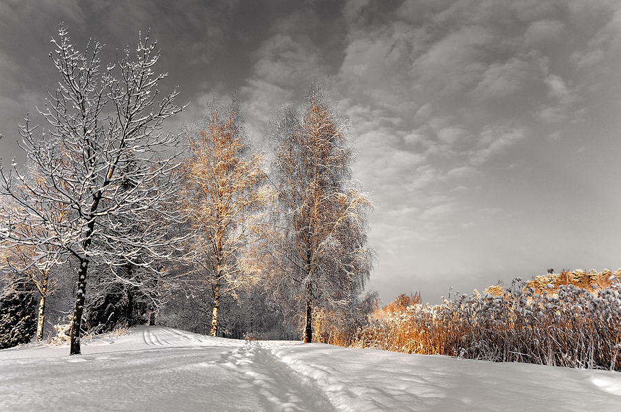 A golden afternoon