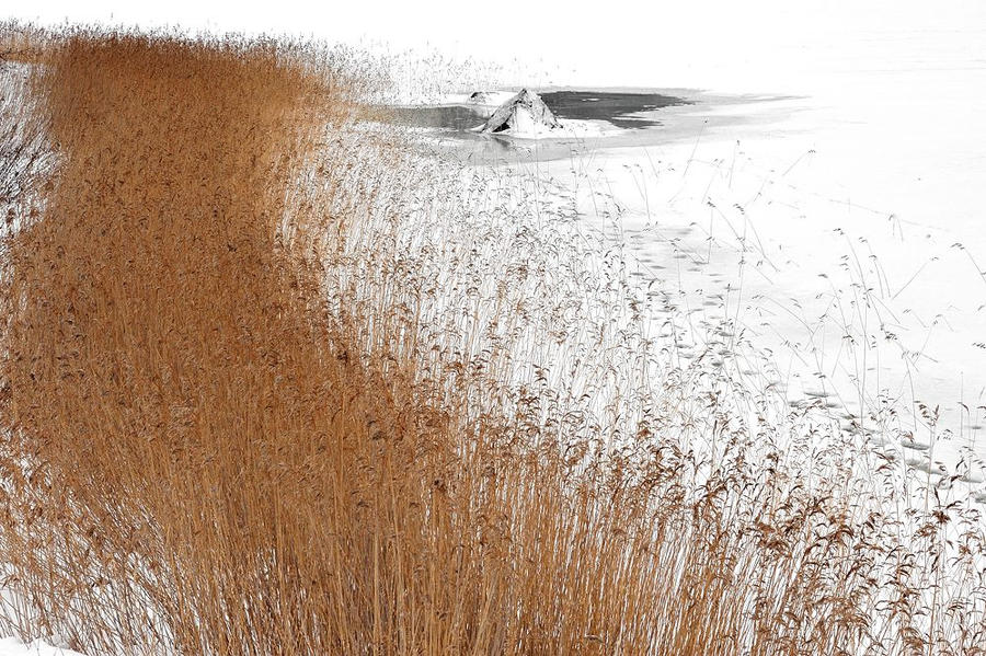Reeds curve by eswendel on DeviantArt