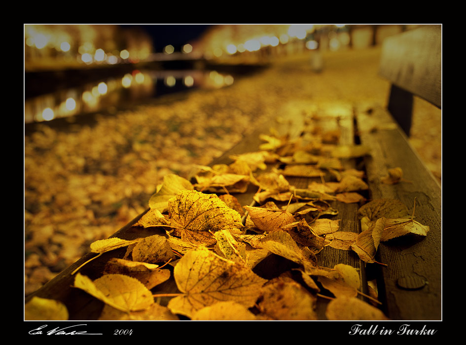 Fall in Turku