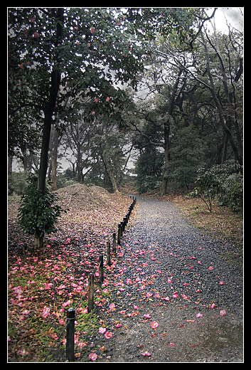 Japanese garden