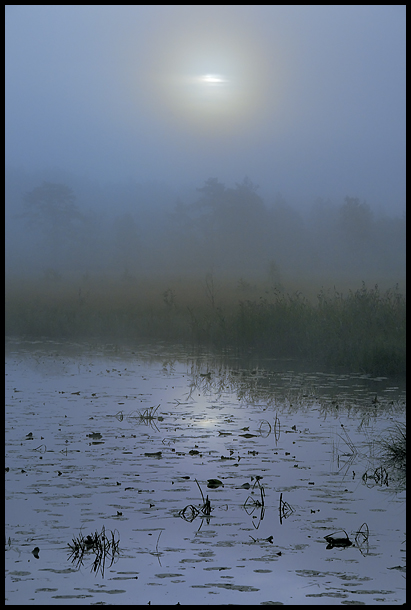 A morning on the lake