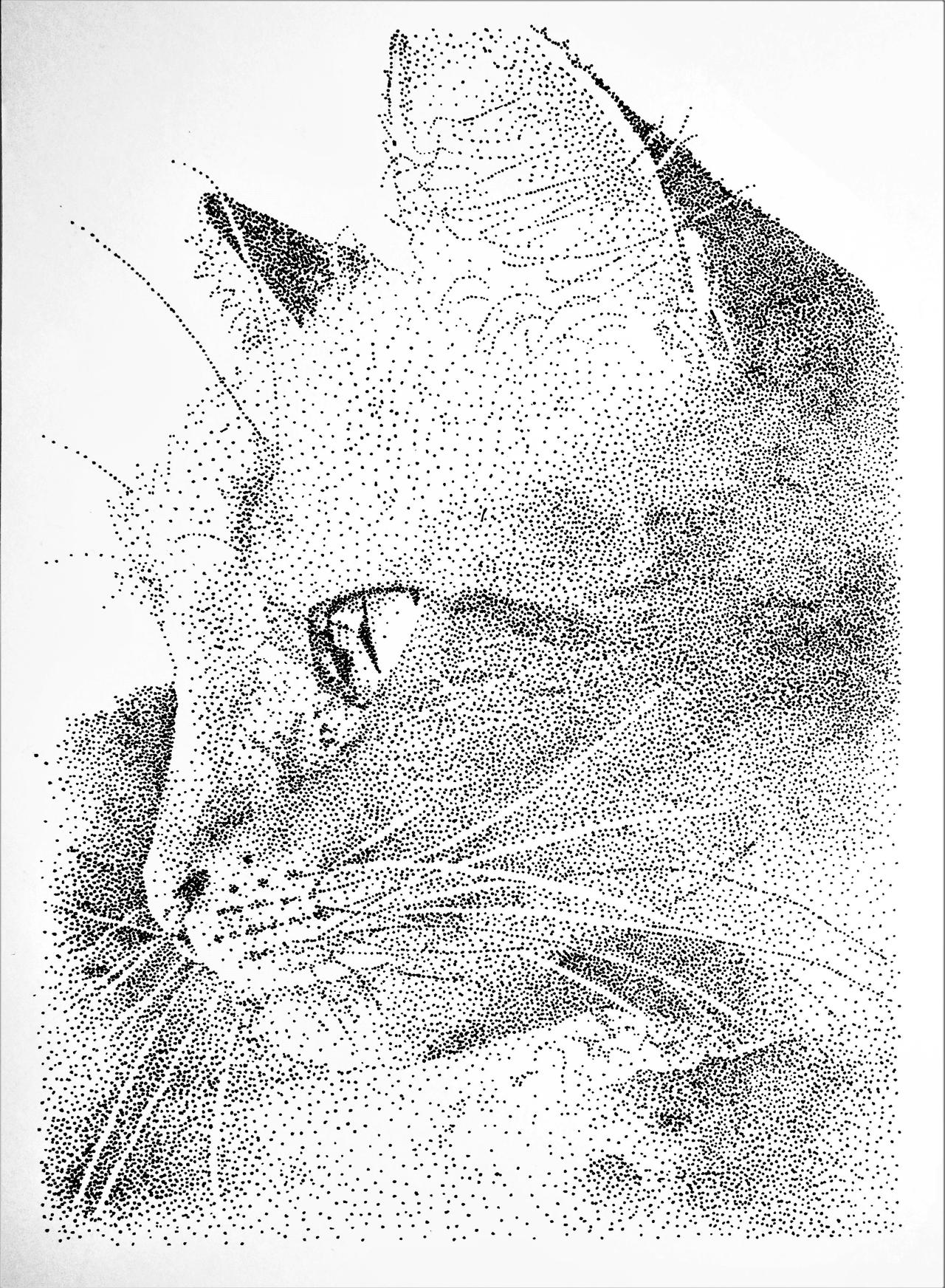 Tiger Stippling by Crazy-Chicken-Girl on DeviantArt