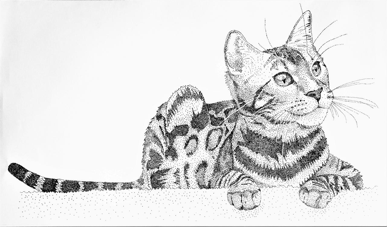 Tiger Stippling by Crazy-Chicken-Girl on DeviantArt