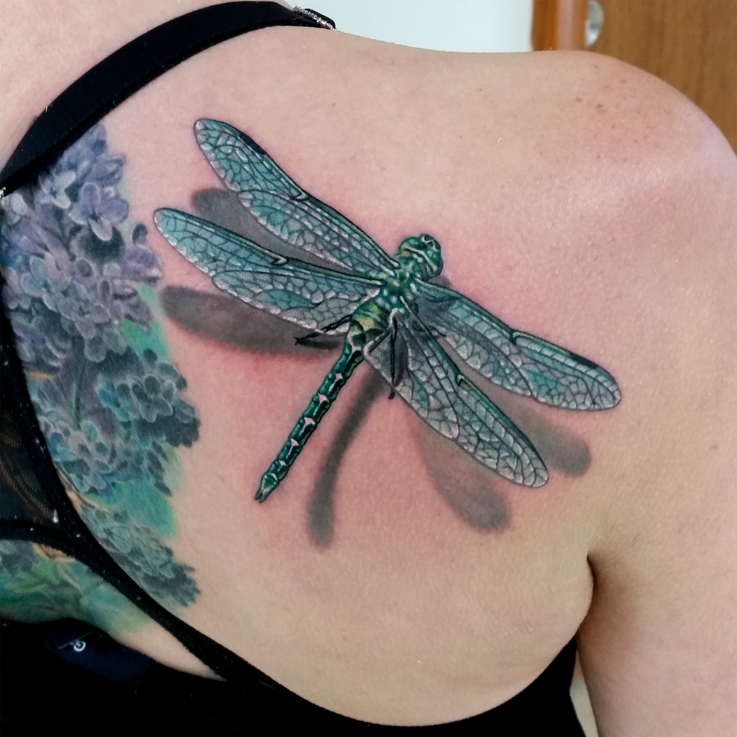 Dragonfly1