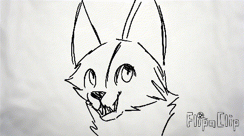 Cat animation by Abbadoo02 on DeviantArt