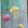 Jellyfish