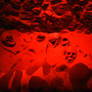 Red Light Skulls'n'Bones