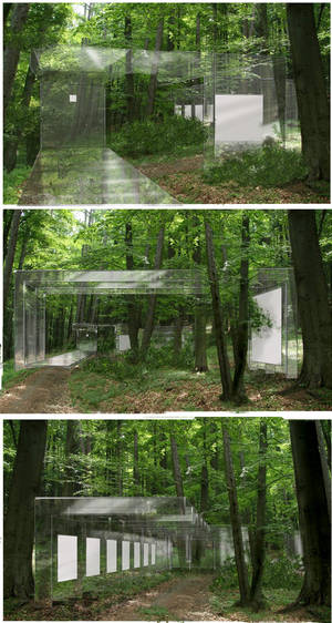 A Pavilion in the Forest