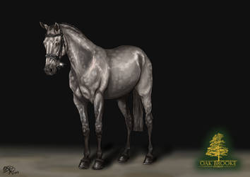 OBS Falling Raindrops