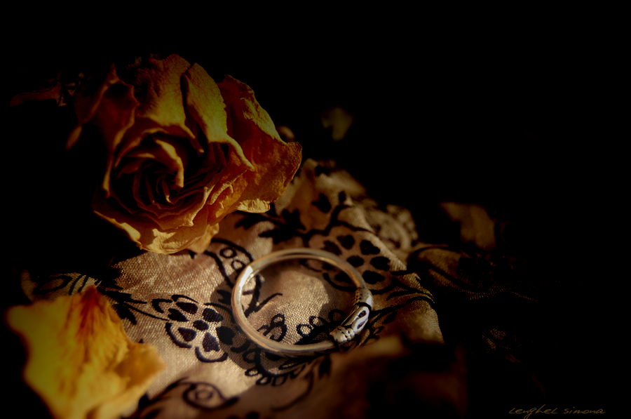 Ring and Rose