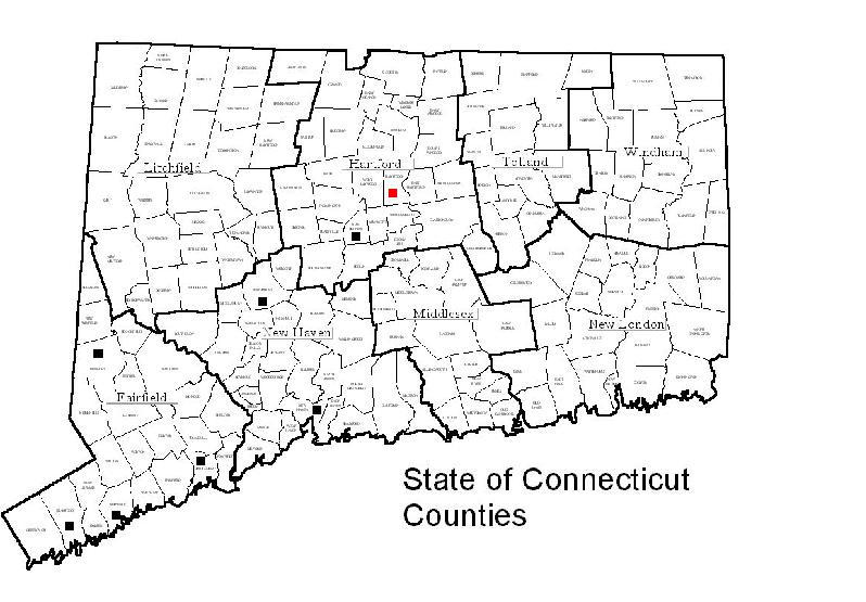 An Introduction To Connecticut By NelvanaDzian On DeviantArt an-introduction-to-connecticut-by-nelvanadzian-on-deviantart