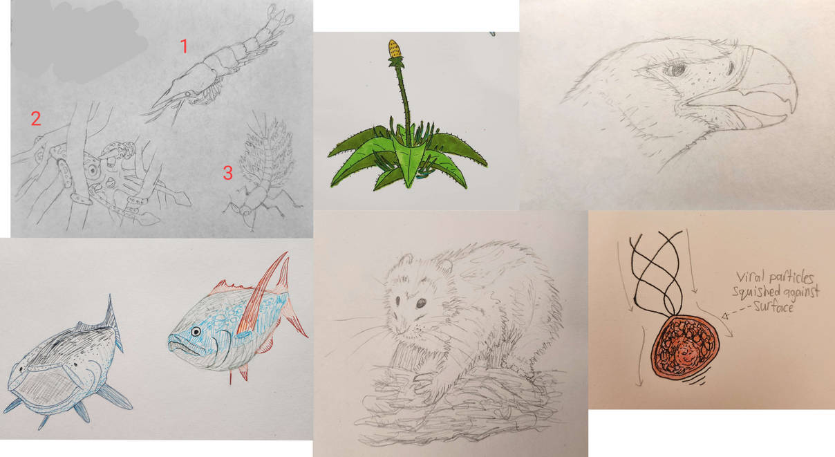 Cold Earth Sketches by Dimetropus on DeviantArt