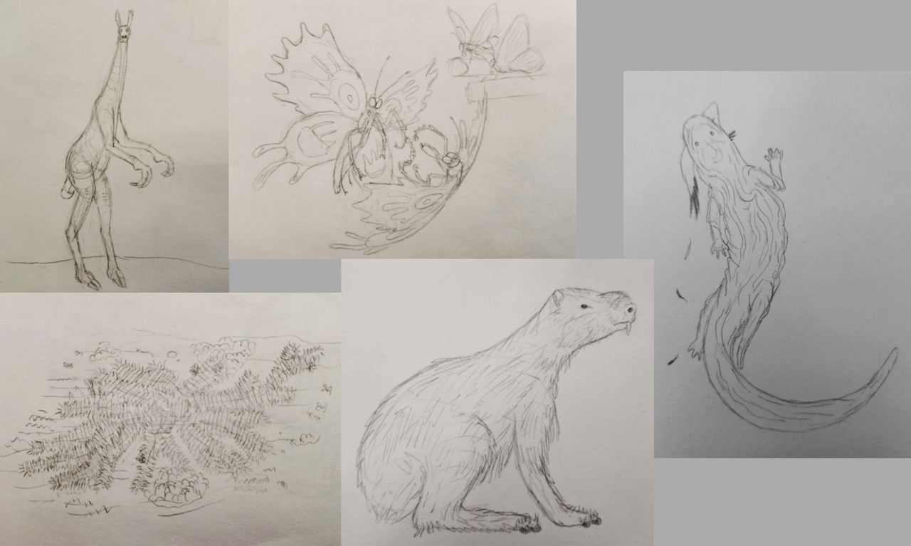 Cold Earth Sketches, 2 by Dimetropus on DeviantArt